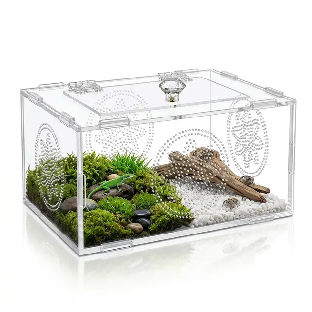 Terrario Reptiles, Acrílico para Terrario, Terrario Araña Saltarina Transparente Multiuso para Arañas, Lagartos, Ranas, Escarabajos, Reptiles, Ranas e Insectos, 20 x 15 x 10 cm