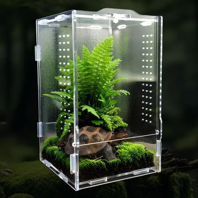 OMJMYY Terrario para Reptiles Acrílico 20 x 12 x 12 cm Caja de Alimentación de Insectos Transparente para Arañas Geckos Tortugas Lagartos Caracoles Anfibios e Invertebrados