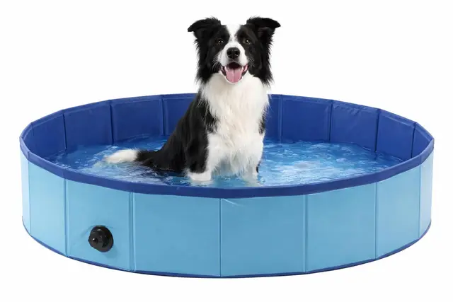 Piscina Perros - Piscina Redonda Azul 120x30 cm - plástico Resistente - Plegable - sin Bomba - con válvula de Drenaje - Verano - Tipo Manta refrescante para Perros