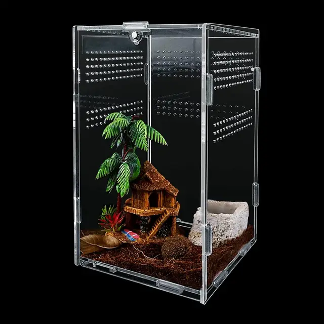 gulxwis caja alimentación insectos