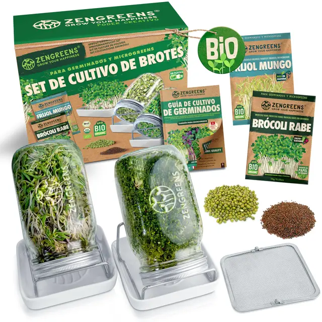 zengreens kit cultivo brotes bio
