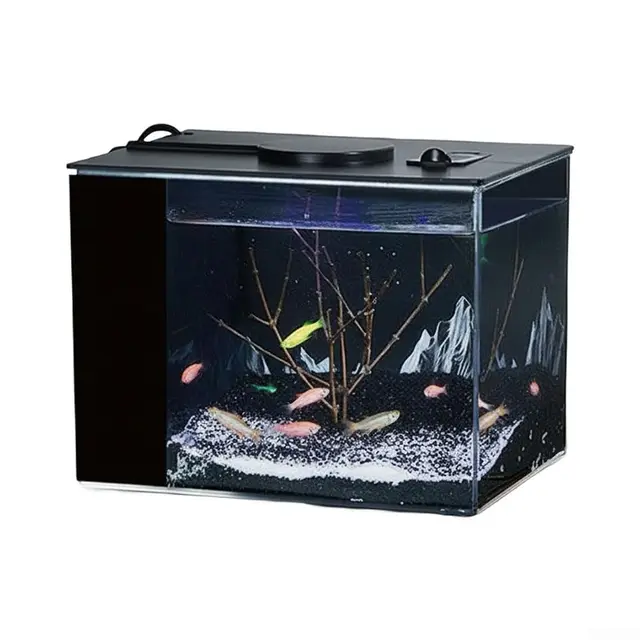 smarbettiy kit mini acuario escritorio