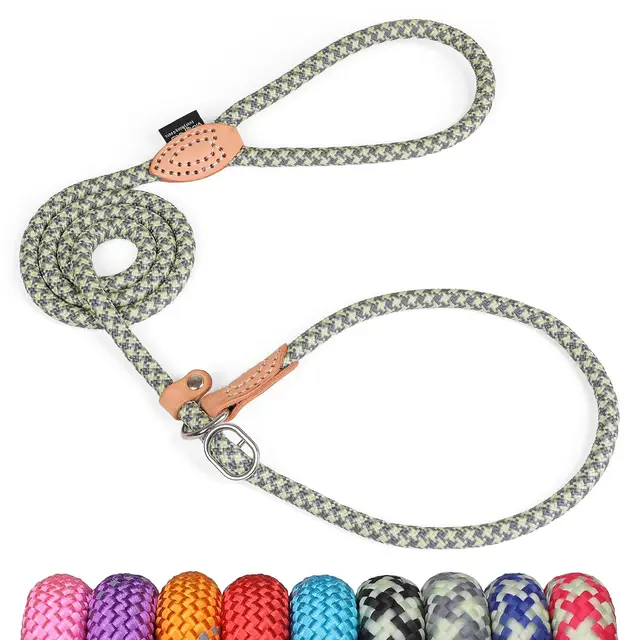 Grand Line Correa Adiestramiento Perro, 150 cm Correa de Lazo Perro, Reflectantes y Ajustable Correa de Entrenamiento para Perros Pequeños, Medianos, Grandes (6mm, Gris Verde)