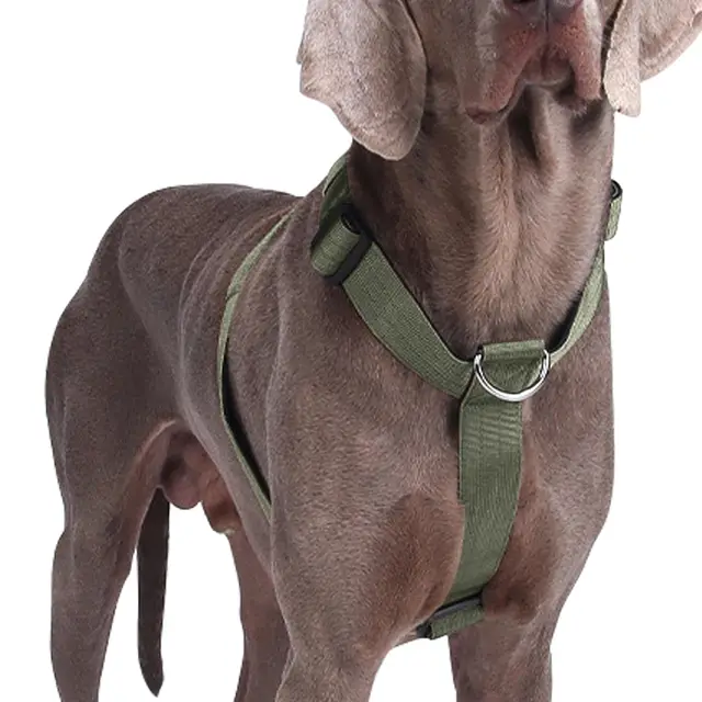 Arnés para Perro Medianos y Grandes, Arnés Perros Pecho Antitirones, Arnes para Perro Chaleco Acolchado Ajustable para Adiesreamiento Correr & Caminar (Verde, L)