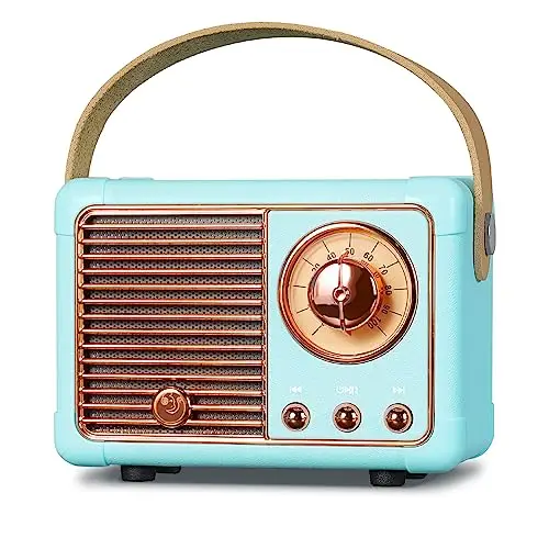 PRUNUS J-999 Mini Altavoz Bluetooth con Radio FM, Radio Vintage Retro con Bateria Recargable, Soporte TF Card/AUX/USB, Bluetooth 5.0, para la Decoración del Hogar, Regalo(Azul)