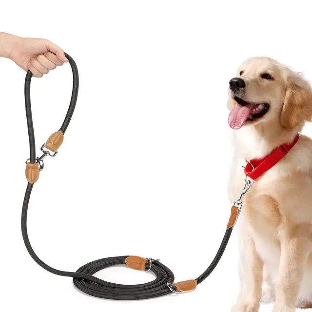 Correa para Perros Doble Enganche, Correa Perro 3 m Ajustable de Adiestramiento, Negro