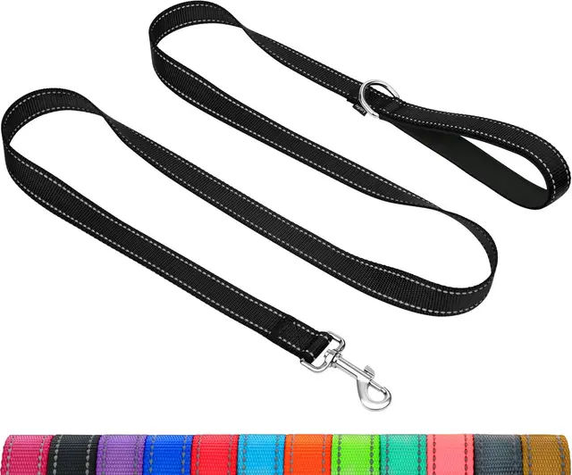 Taglory Correa Perro Reflectante, Mango Acolchado Suave y Gancho de Metal, Correas Adiestramiento para Perros Pequeño, 1.2m x 2.0cm, Negro