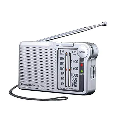 Panasonic RF-P150DEG-S Pocket Radio FM/Am con Sintonizador Digital, Control Automático de Frecuencia, Sintonizador Grande, Puntero Fluorescente, Funciona con Pilas, Color Plateado
