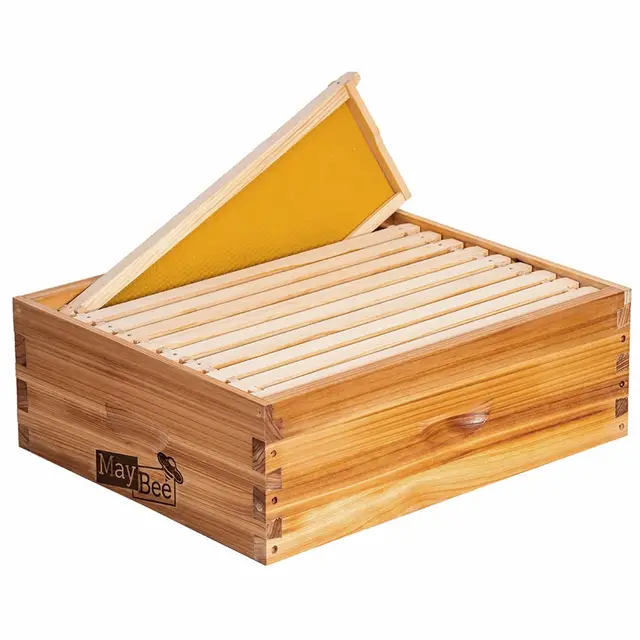 wiz bir super bee box 10 marcos