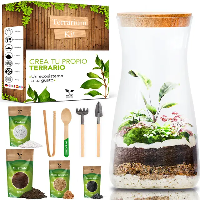 Kit Terrario de Cristal DIY - Set de Decoración para Ecosistema Cerrado- Bosque Eterno de Interior - Frasco de Cristal y Accesorios - Kit Creación Terrarium para Hogar - Regalo Original (Sin Planta)
