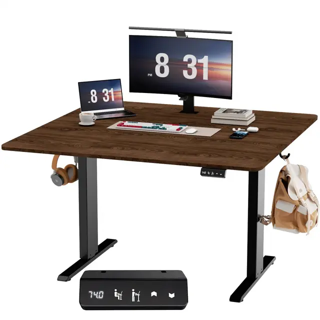 Escritorio Elevable Eléctrico, Mesa de Trabajo Ajustable en Altura, Mesa de Oficina en Casa con Tablero Ensamblado, 120 x 60 cm, para Trabajo, Redacción, Juegos