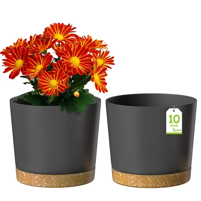 ZMTECH Maceta De 25 cm, Maceta De Plástico con Agujeros De Drenaje para Plantas Suculentas, Hierbas, Orquídeas, Menta y Otras Plantas De Jardín (Gris Oscuro, Set De 2)