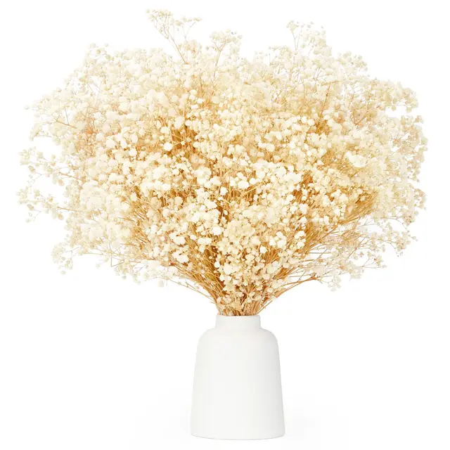 kaohong ramo gypsophila seca 43cm 3500