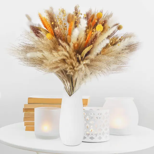 sosayet pampas secas 100 piezas 40-44 cm