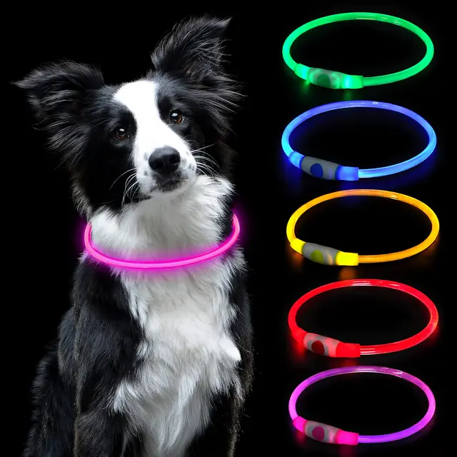 lairi collar led auauy recargable