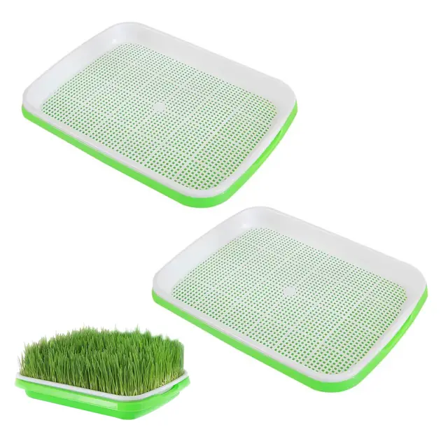 kinesgsg bandeja de cultivo microgreens