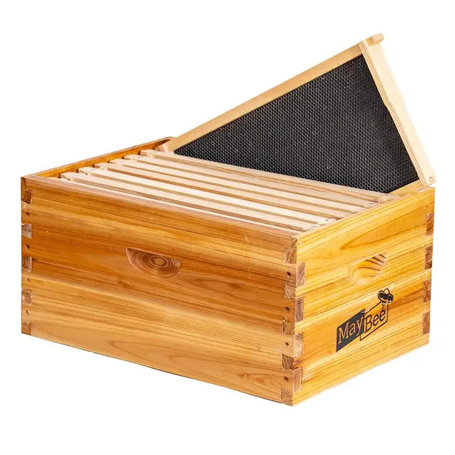 maybee 8frame-deep colmena langstroth