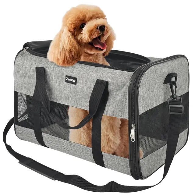 Zavothy Transportbox für Katzen Hunde Haustiertragetasche Faltbare Katzentasche. Transportin Homologado para Avion, Gran Espacio para Coche, Avión, Viaje