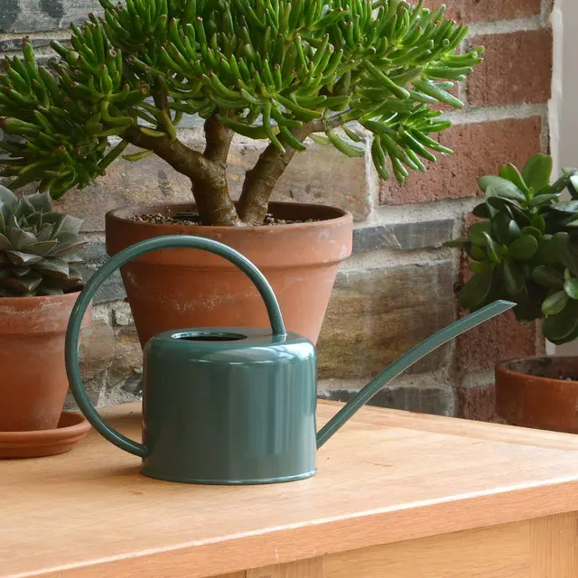 ckb ltd regadera 1,1l verde oscuro