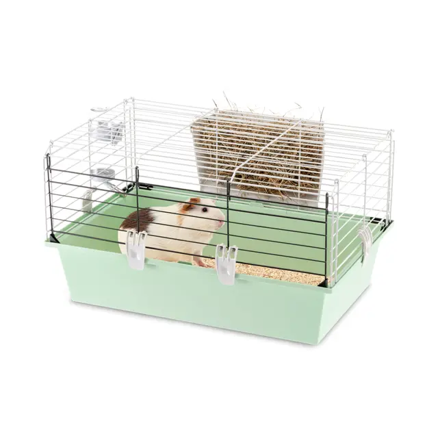 Ferplast Jaula para Conejillos de Indias CAVIE 60, Sistema de Cierre de Seguridad, Accesorios incluidos, Estructura de Alambre Pintado Gris y cubeta de plástico, 58 x 38 x h 31,5 cm